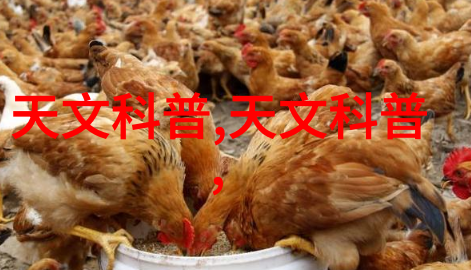黄河水利职业技术学院学渔不愁遇潮有方