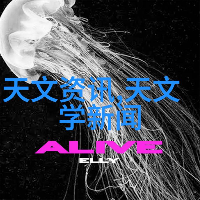 墙体处理与隔断安装打造整洁现代厨房空间