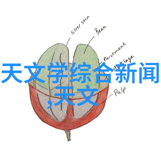 山东外国语职业技术大学我在这里的故事从初识到深情