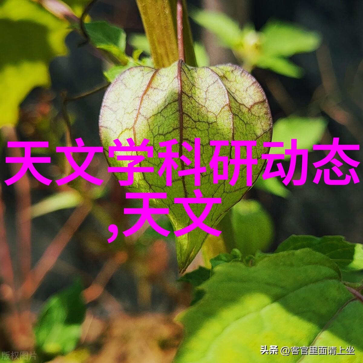 超凡爱情拒绝婚姻的天王之恋