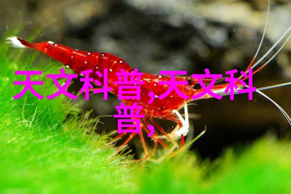 混合机搅拌机生产设备高效混和设备