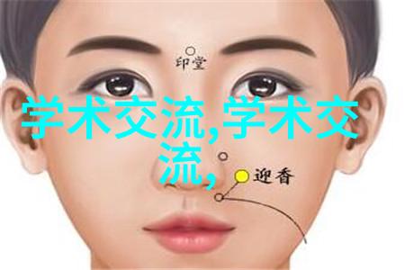 工作进展简报项目更新与未来规划