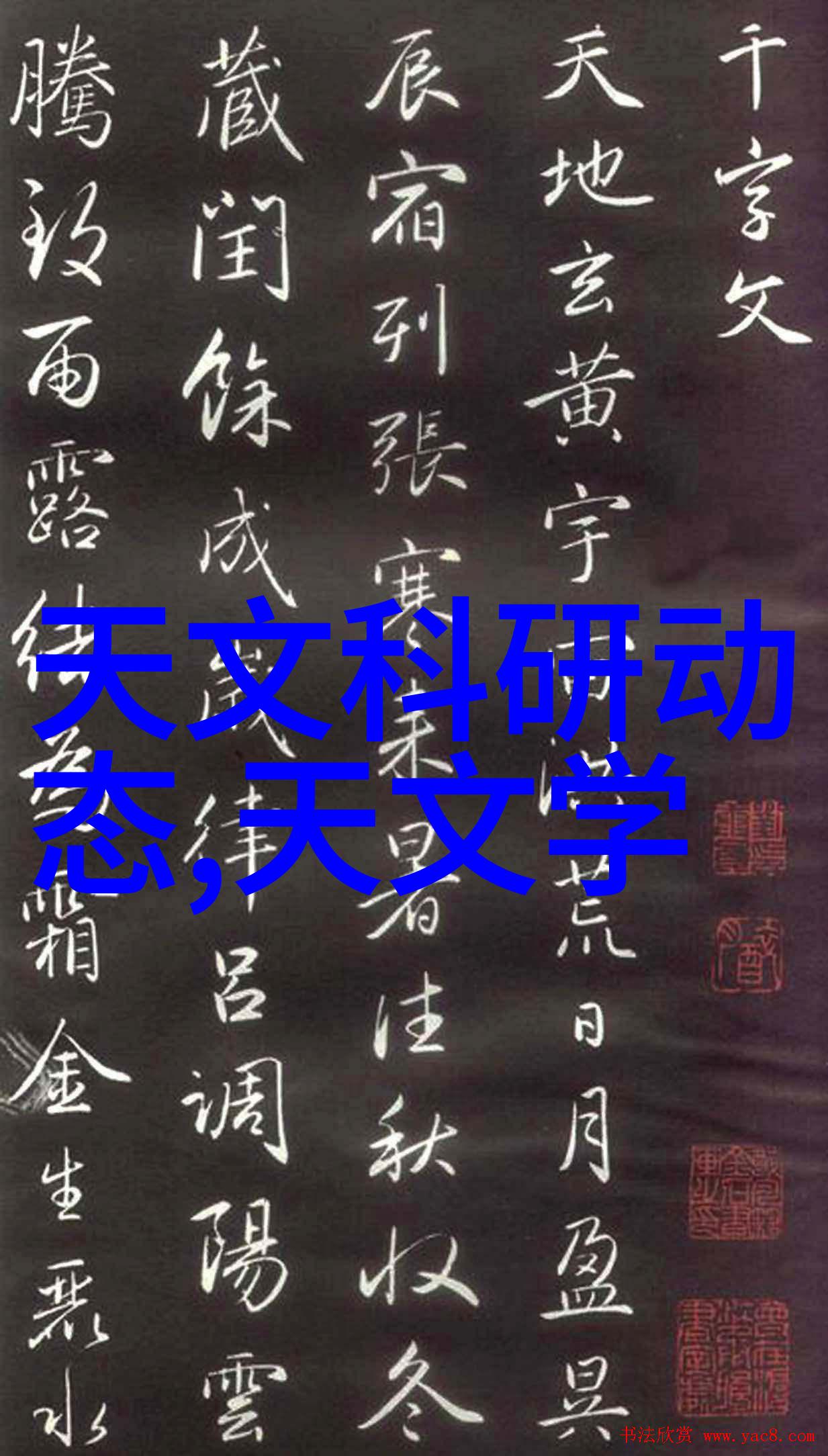 丝网填料的分块 - 精细织造技术与应用概述