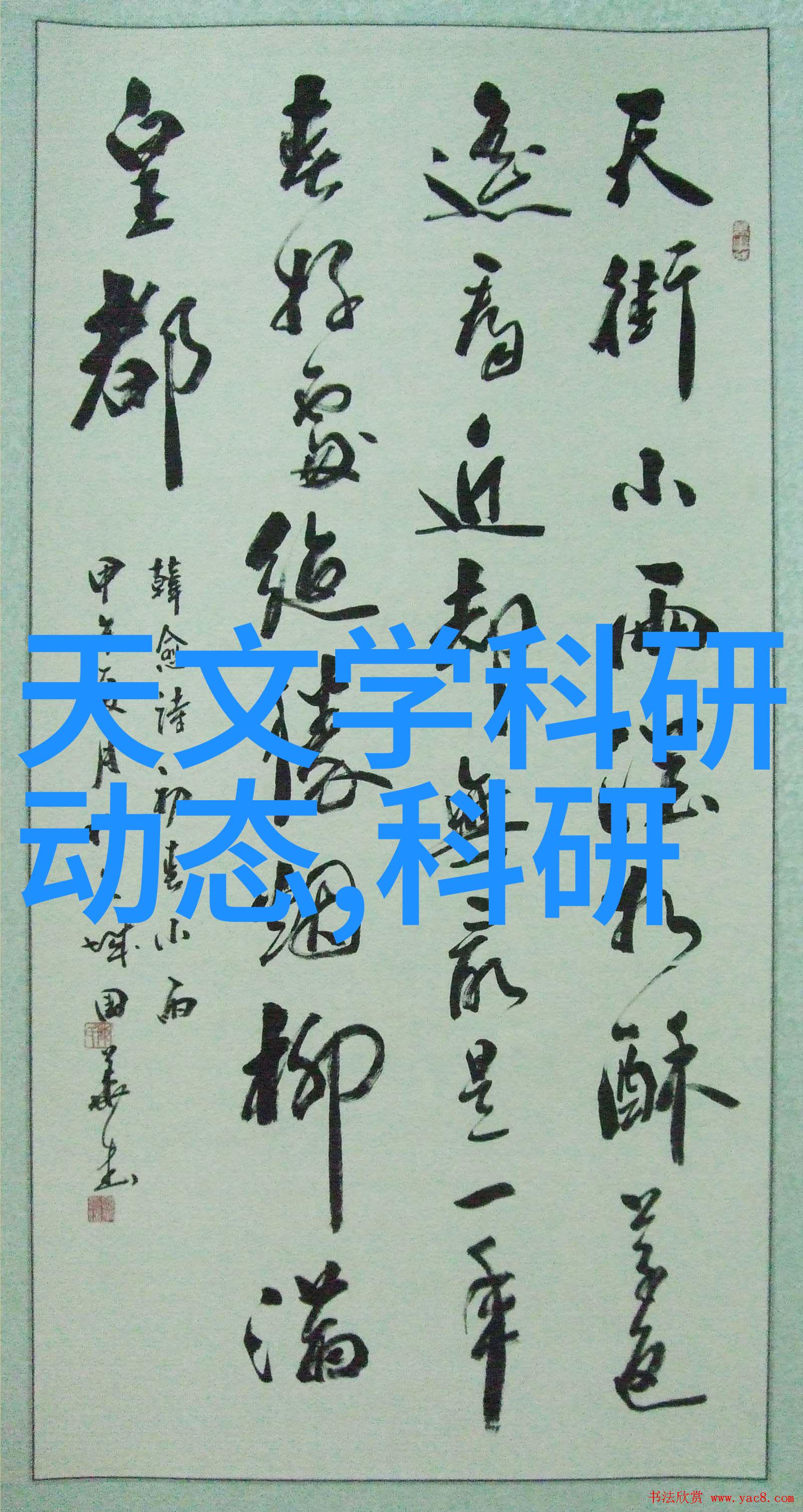 从粗糙的铁条到精致的装饰管材的多面性探究