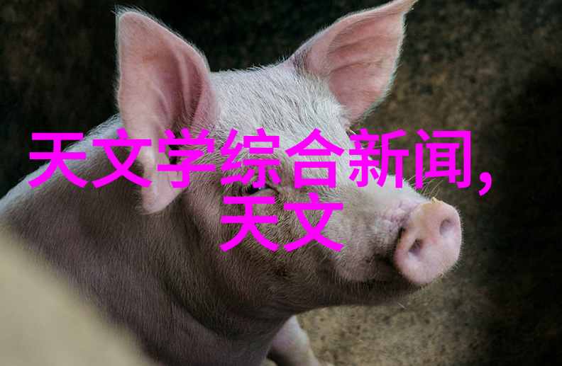 今日不锈钢304价格表我来告诉你今天的不锈钢304报价啦