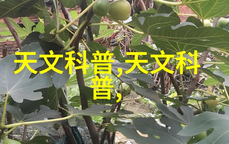 附近不锈钢板材加工店专业打磨切割服务