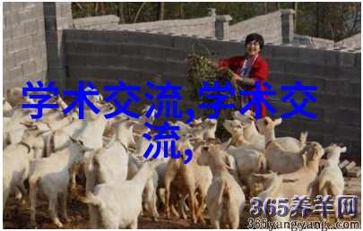 主题我是如何用一台小巧的油加热器解决早餐问题的