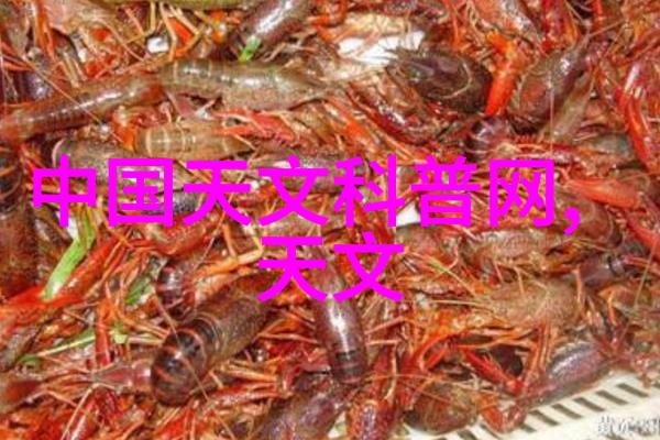 我和我的PVC水管这水管不容易我是如何学着给自己家PVC水管的