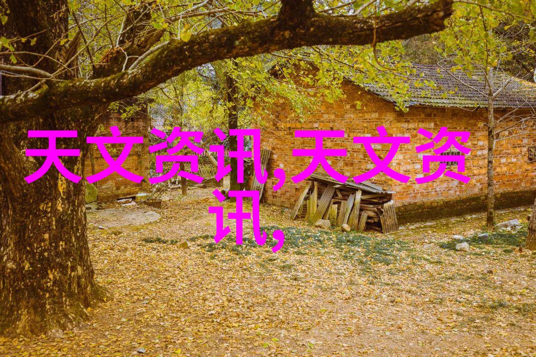 简约家居装修如何选择合适的材料与色彩