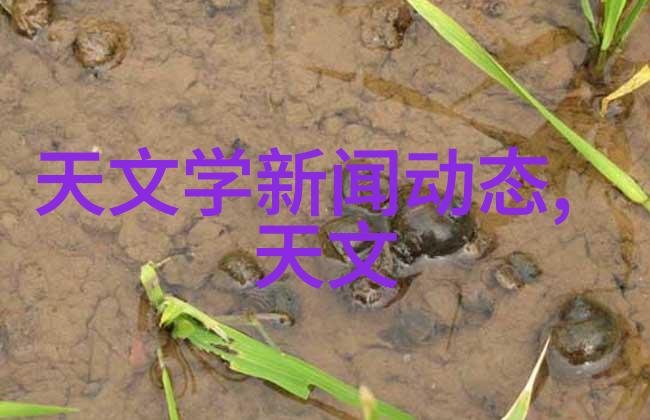 工业强悍粉碎机械设备的崛起与应用前景