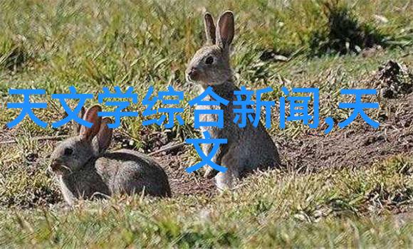清泉之源探索自来水厂净化设备的奇迹