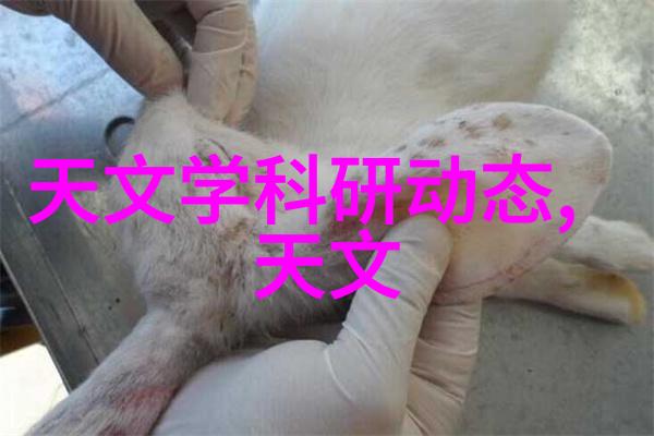 智能交通展览会智慧出行创新技术展示