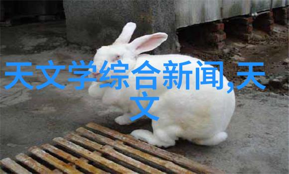 缓冲器在现代通信系统中的应用与优化策略研究