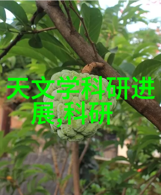 水质监测标准体系一二三四五类水质安全指数