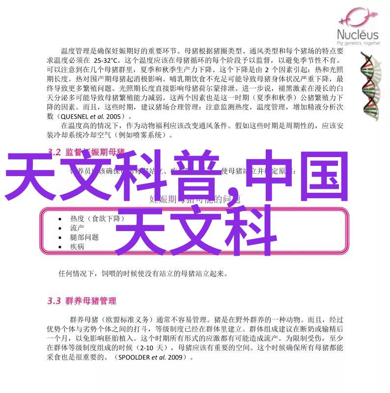现代装饰风格的选择与实践