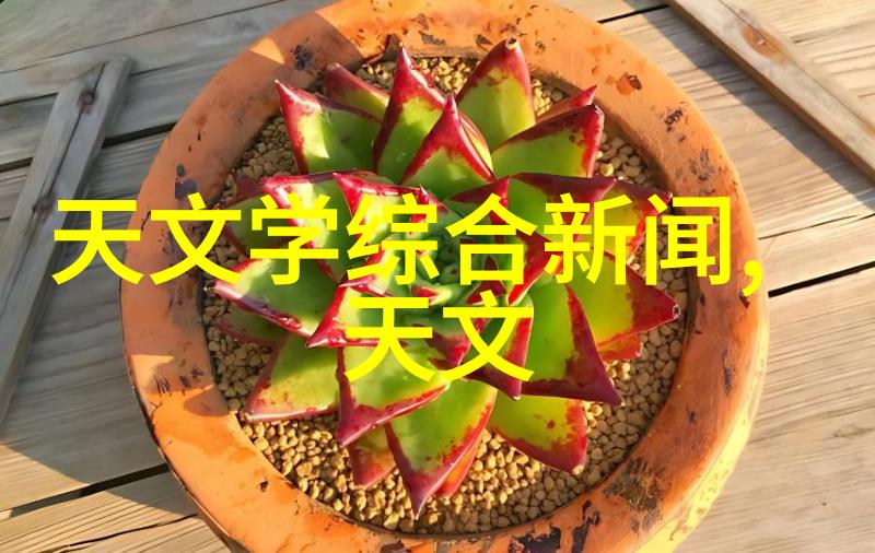 药剂之工设备与配方的和谐共生