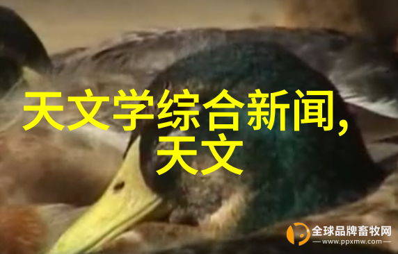 实验室净化污水处理设备的智慧之翼