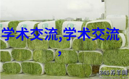 穿裙子就是好c-裙舞轻盈穿裙子的魅力与风采