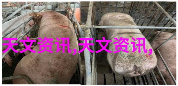 主题我是如何用自动高压蒸汽灭菌器彻底消灭病菌的
