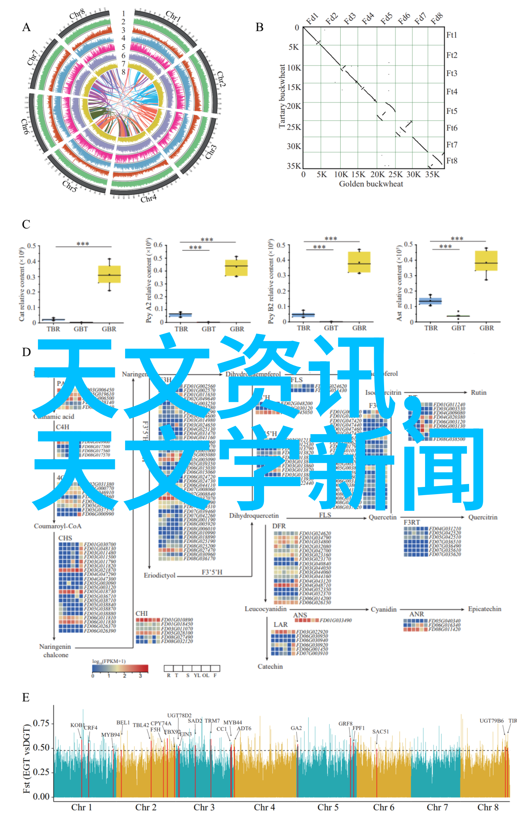 成品W灬源码伊旬园大象2023高端游戏角色模型设计与源代码开发