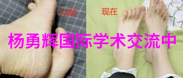 科学烹饪如何正确使用食物保鲜箱以控制食品含水率