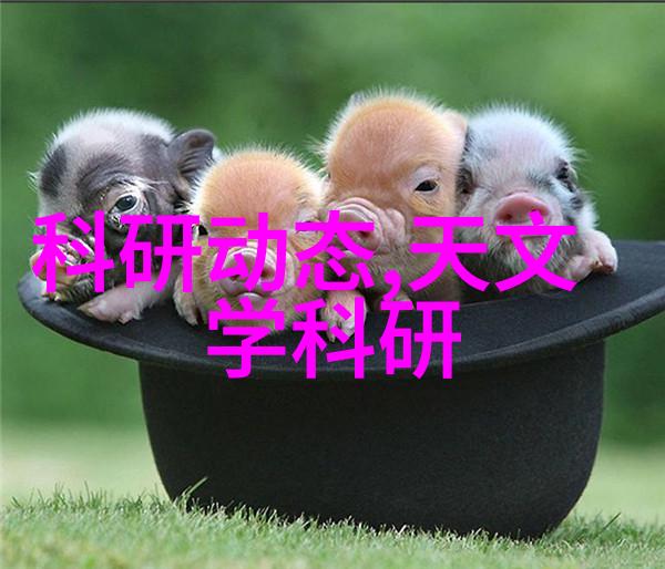 人体检测仪器确保健康的先行者