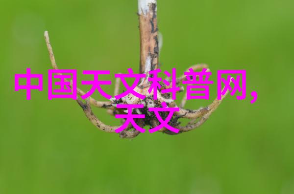 片剂机械制造精密压制与包装的工艺艺术