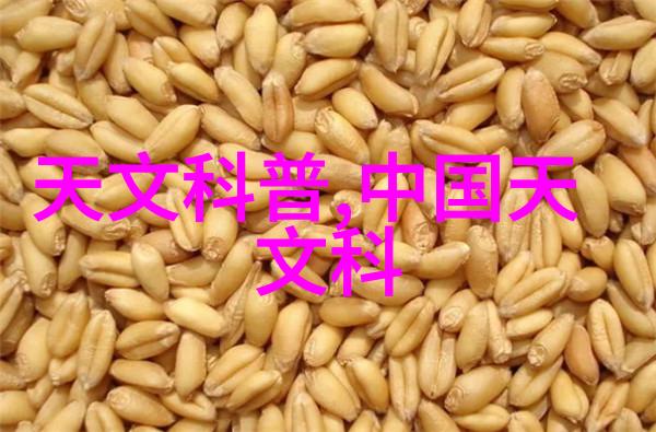农产品检测新纪元高精度仪器设备的应用与未来展望