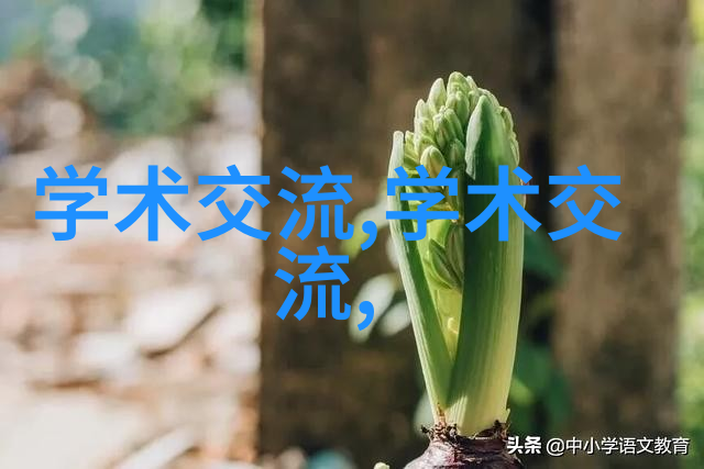软刺玫瑰by刃心-刃心中的花软刺玫瑰的故事与象征