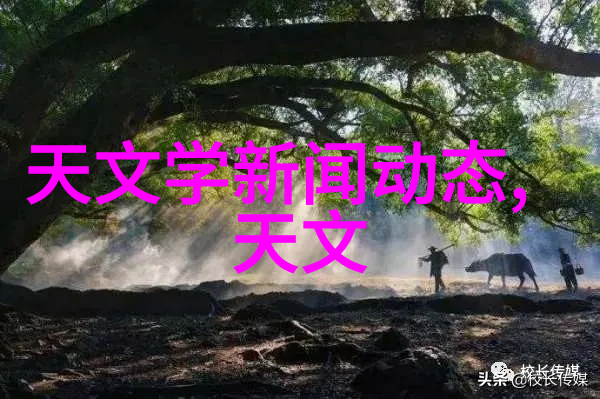 数字的力量揭秘132背后的奥秘