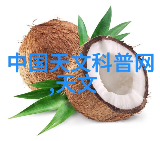 煤炭分选机黑色财富的精准筛选者