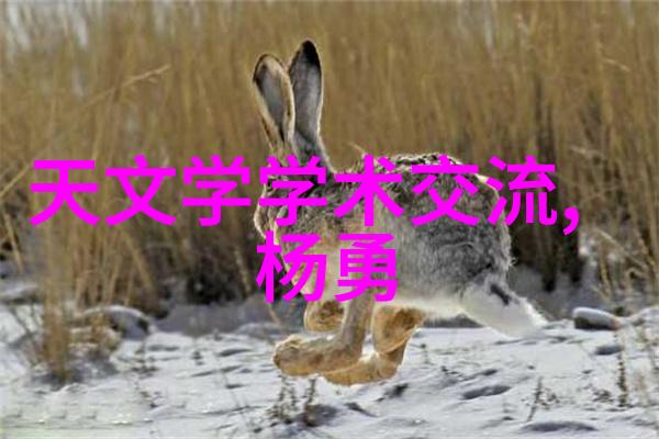 大型纯净水生产线设备的未来发展趋势是什么