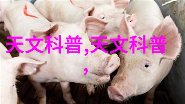 解析中国人保股价低迷市场预期与公司表现的双重考量