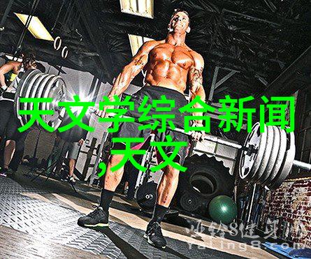 室内外都能用多功能性分析及案例分享之皮帶輸送機設備
