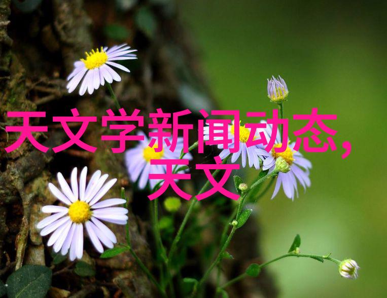 化工测量计量仪器的精密应用与分析化工测量计量仪器在精密应用中的关键分析