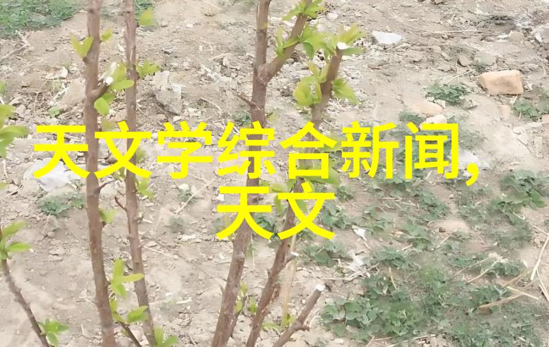 对对于敏感材料能否使用等离子灭菌器进行消毒处理