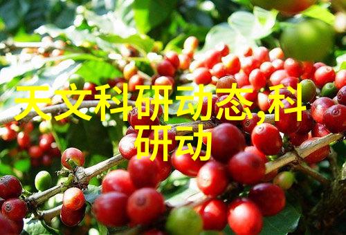 低温等离子灭菌器原理它是如何利用电磁波的奇妙力量来消灭细菌的