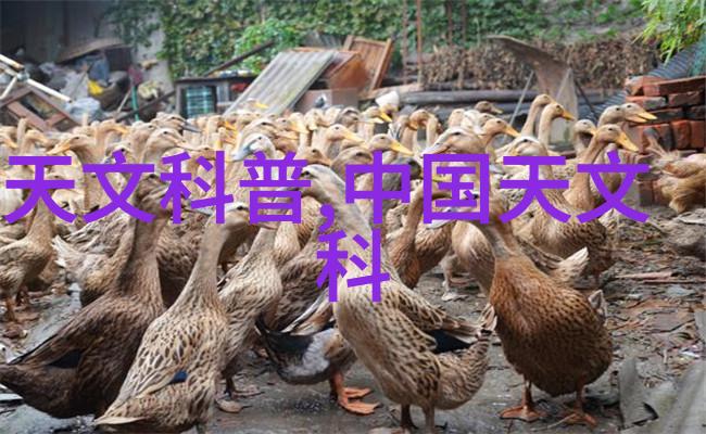 实时监控系统如何提升医院消防安全管理
