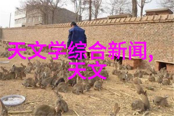 蒸汽发生器之谜解锁其工作奥秘的奇妙旅程