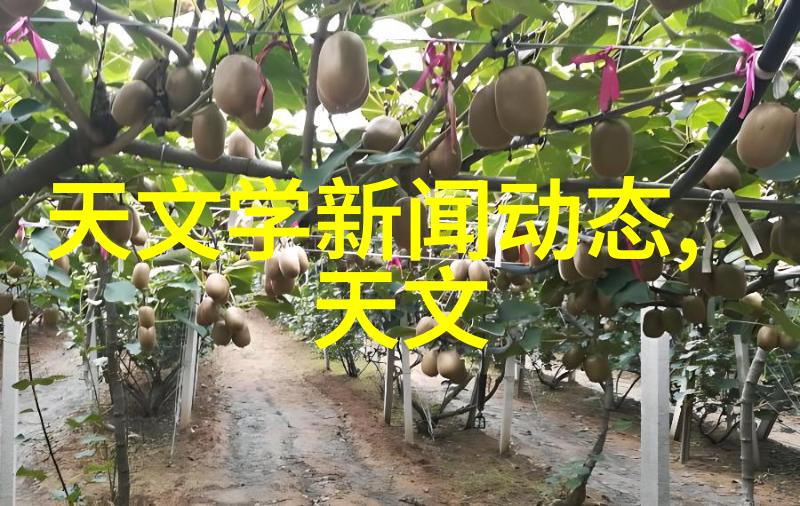 新能源时代下的磷矿石需求预测