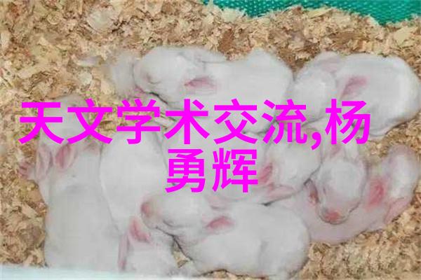 降膜蒸发器的工作原理与应用概述
