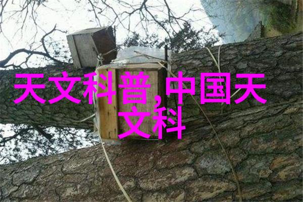 斜管填料安装示意图俺来教你怎么操作