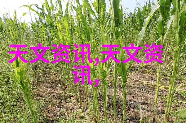 化工实验室的新伙伴多功能机的应用与优点