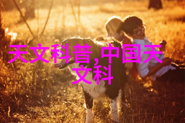 智能评估与人才开发倍智系统在教育领域的应用探究