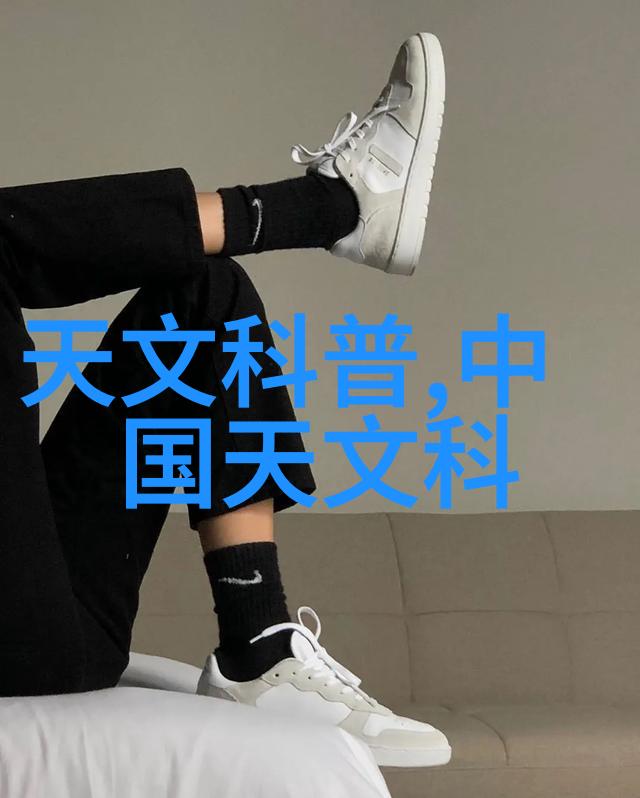 重新连接家园尊重他人的空间探讨加强对外籍人士及其家庭成员进行定期随机或必要时进行RT-PCR或抗原自
