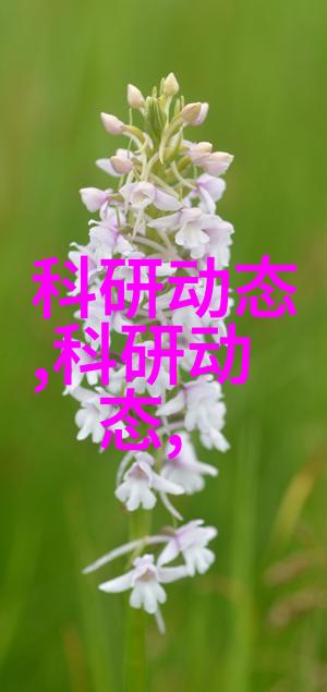 实验室电加热器设备高精度实验室用电热plate
