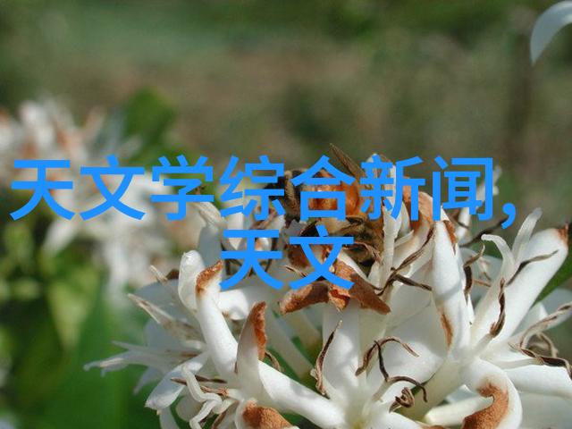 地图-探索未知ditu与人类知识的征程