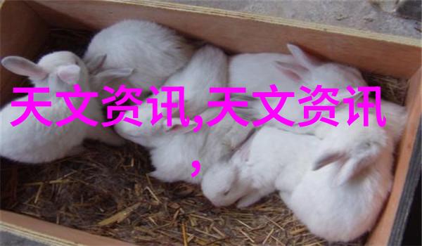 英语课代表的视频主题探索语言学习新趋势