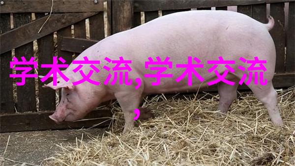 PE管价格探究一米多少钱