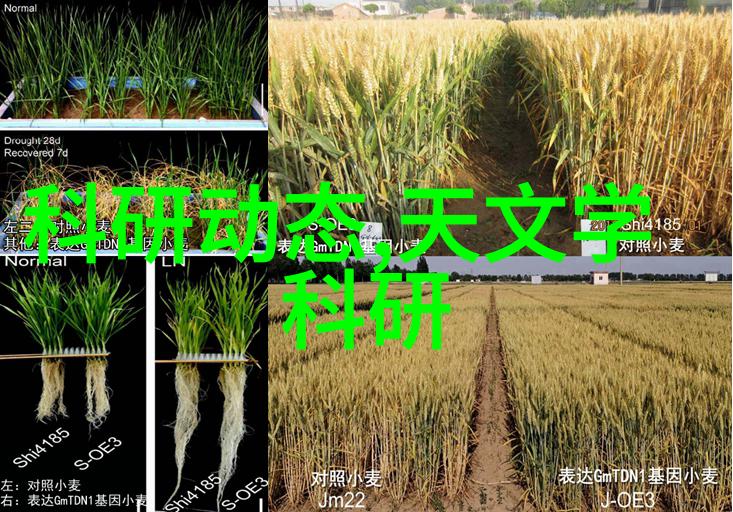 管材种类详解从塑料到钢铁各种用途的选择